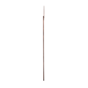 Rost Marienkäfer