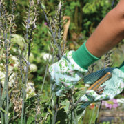 Rosendruck Gartenhandschuhe sort.