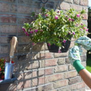 Rosendruck Gartenhandschuhe sort.