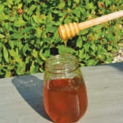 Honey dipper