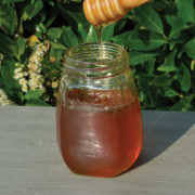 Honey dipper