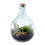 Bouteille terrarium 5L set