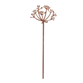 Rost Gartenstecker Wiesen-Kerbel