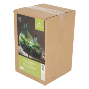 Bouteille terrarium 5L set