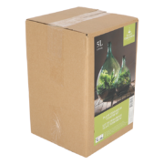 Bouteille terrarium 5L set