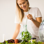 Bouteille terrarium 5L set
