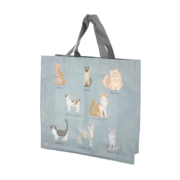 Shopping bag cat breeds
