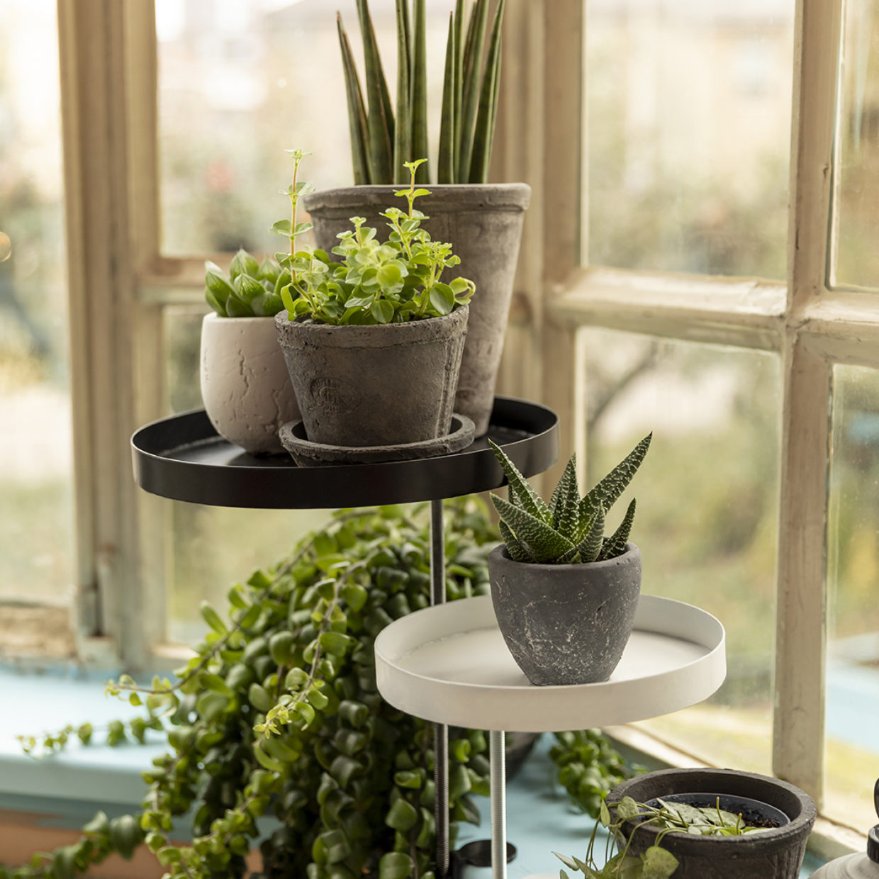 Ceinture outils jardin en jean