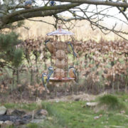 Lanterne de bougeoir transparent L