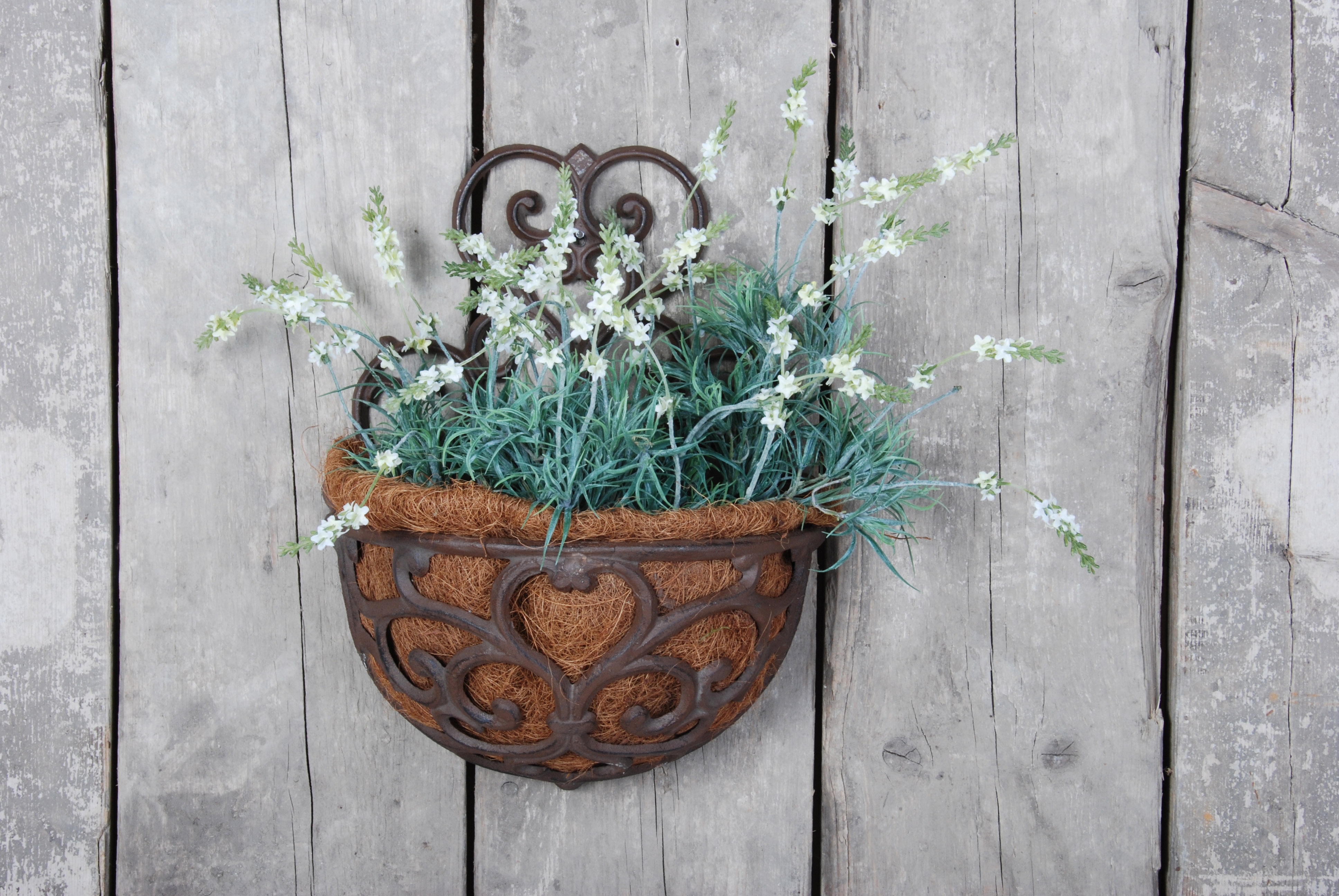 Wall planter and holders