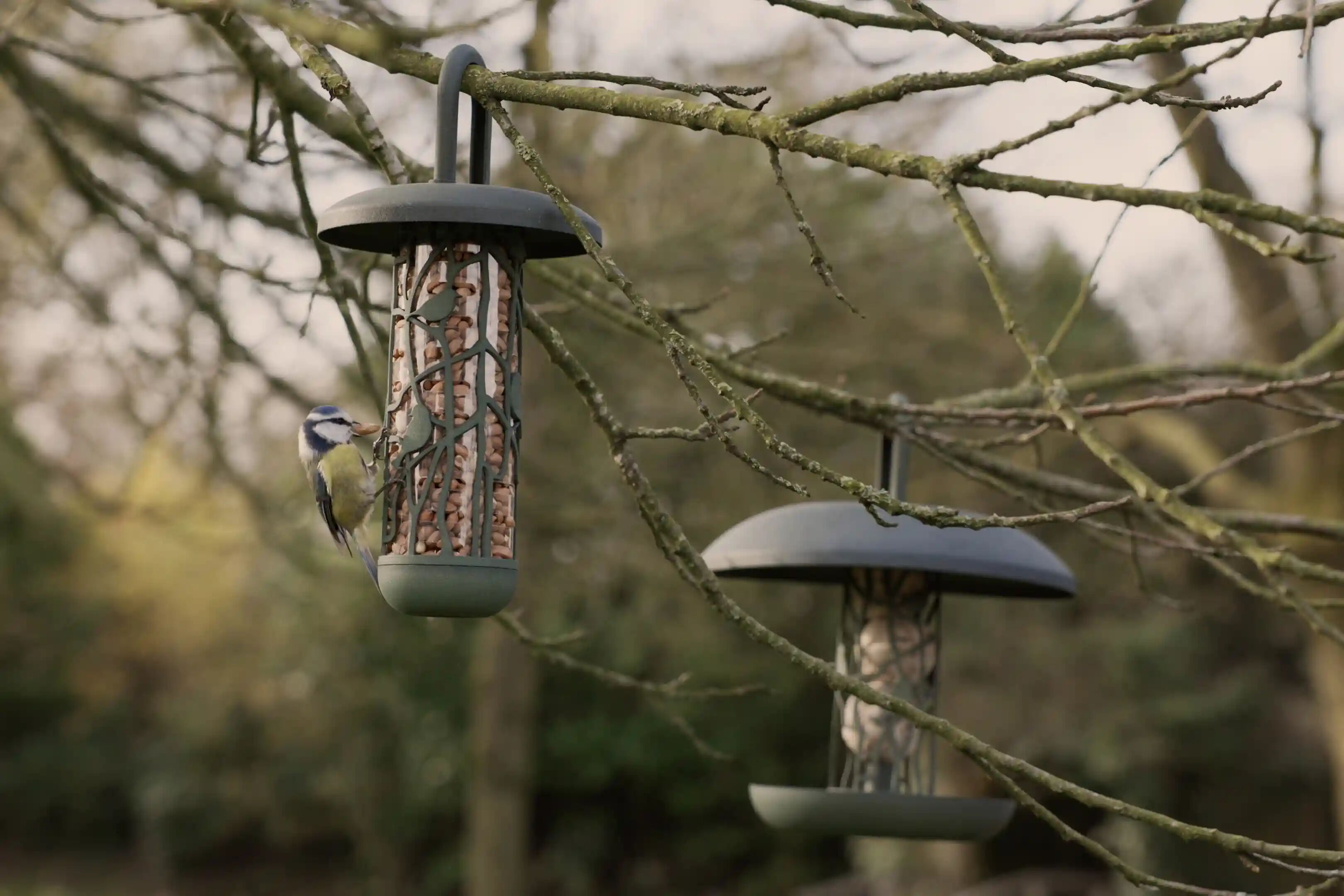 Vogels & Tuindieren