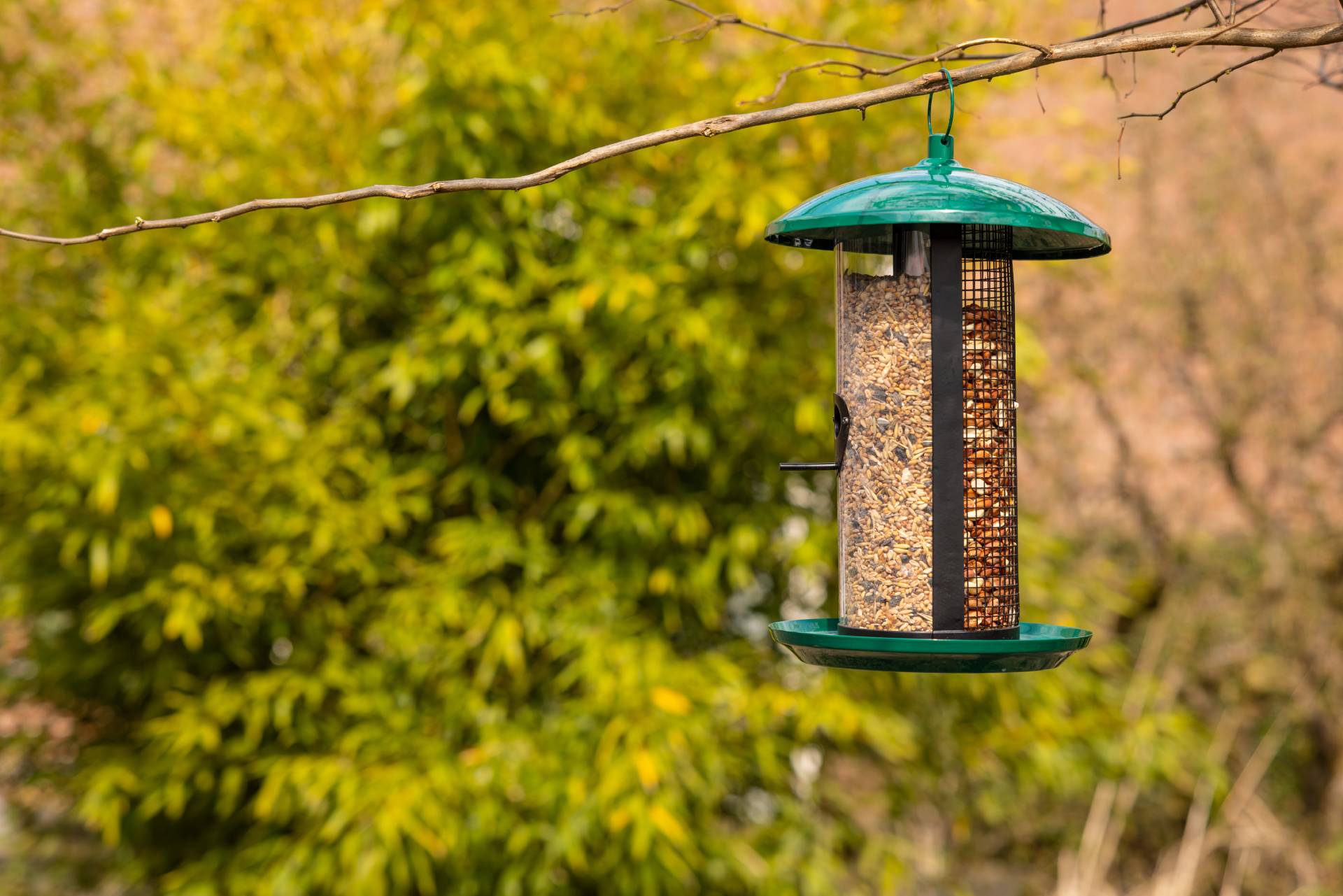 Bois Fsc Nichoir Pour Écureuil En - Toit En Écorce - Deux Entrées - Pour Jardin Naturel Nichoir FSC Jardin