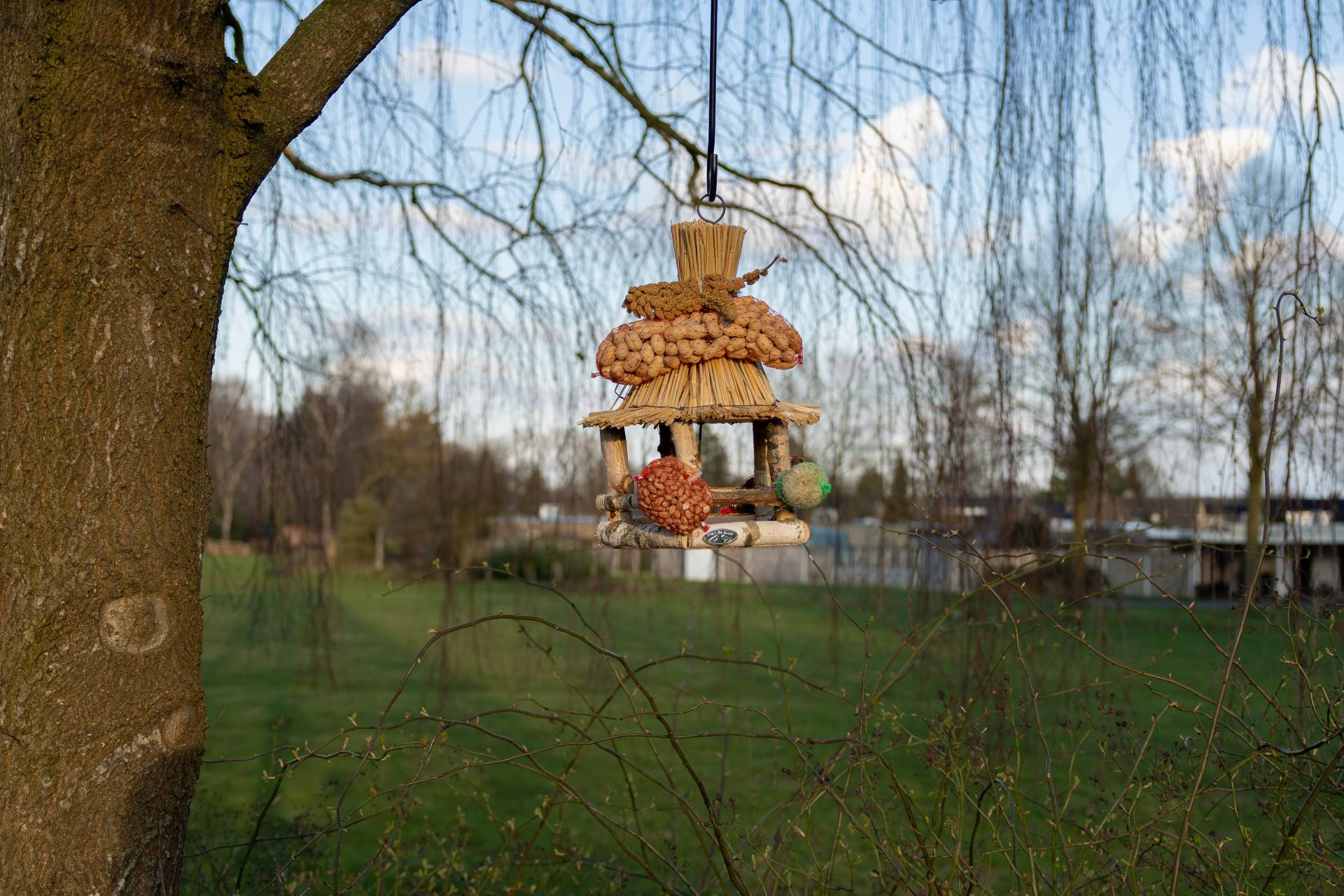 Ensembles d'aliments pour oiseaux