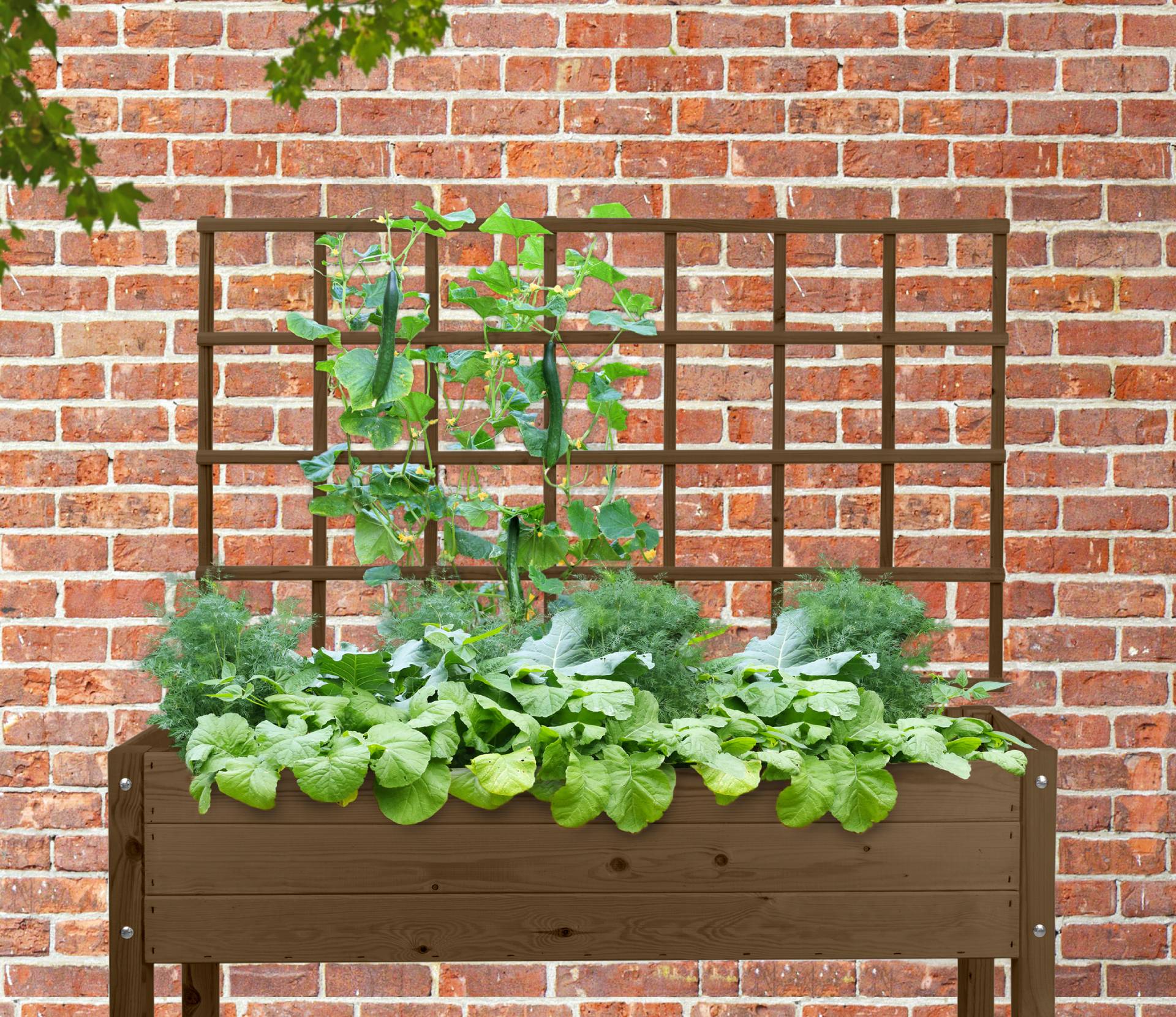 Accessoires carrés potagers