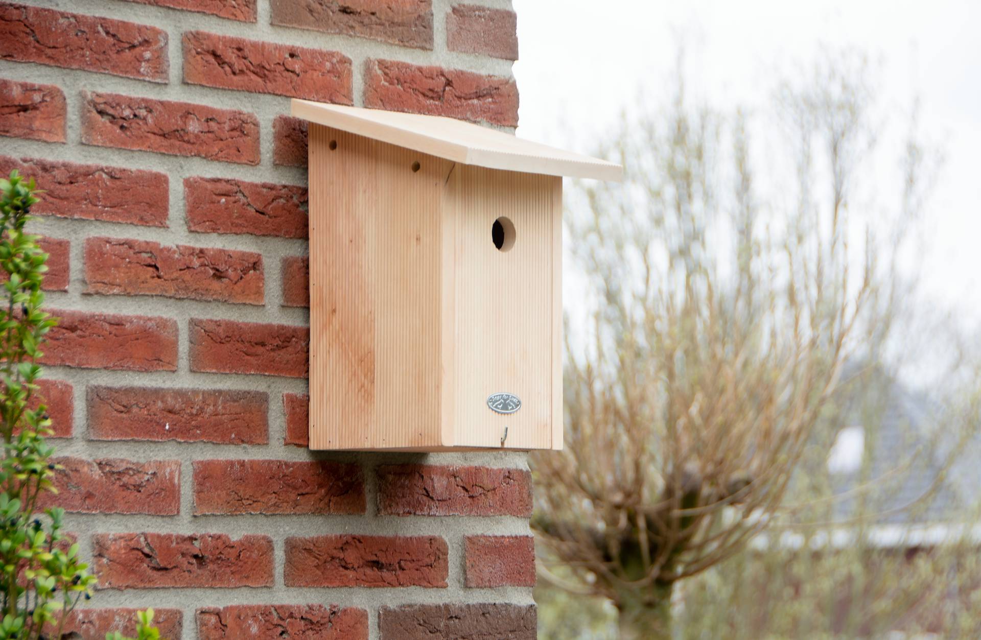 Nids d'oiseaux qualité premium en coffret cadeau