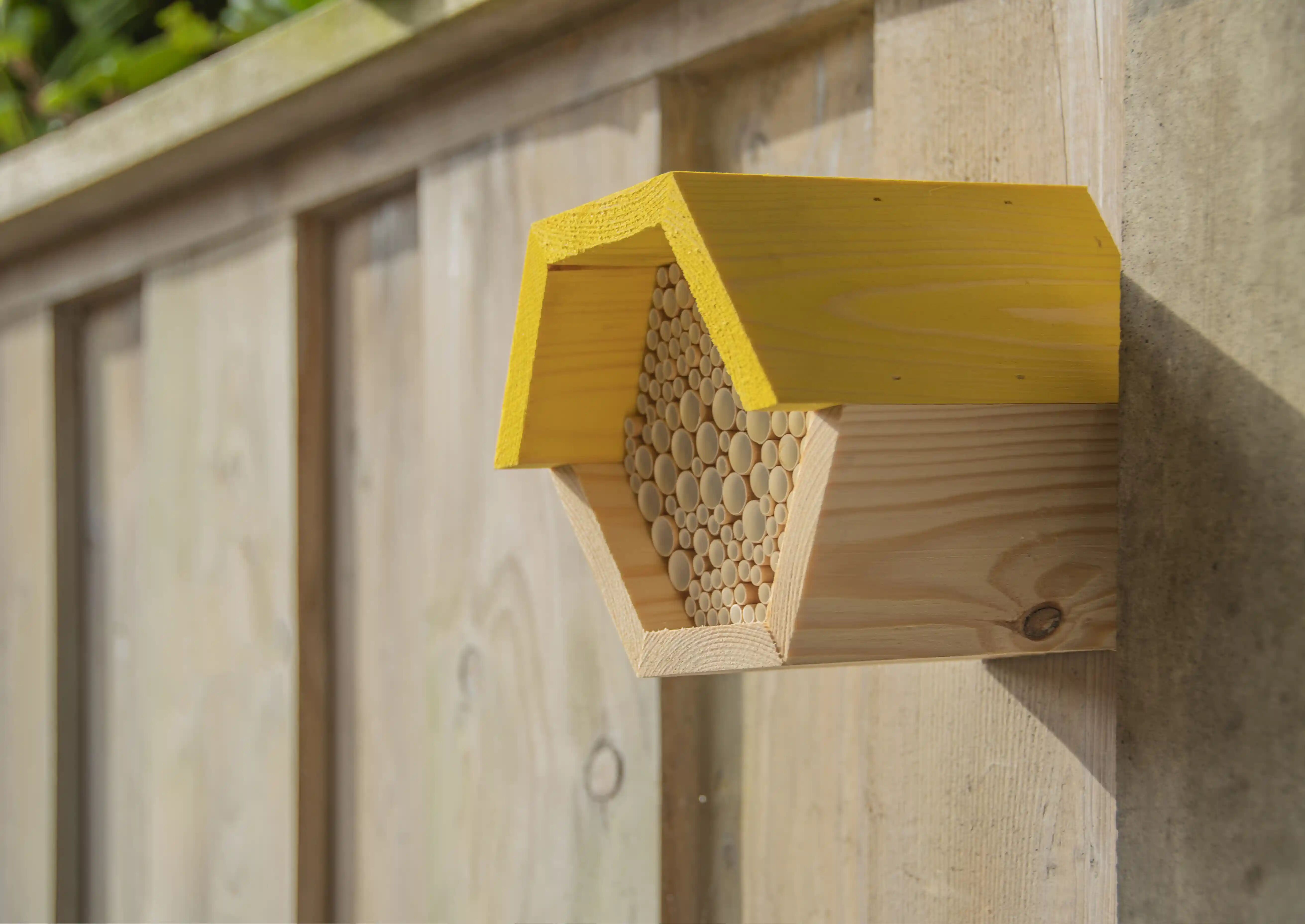 Abeilles Abeilles