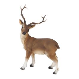 Cerf rouge debout M
