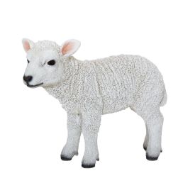 Agneau debout