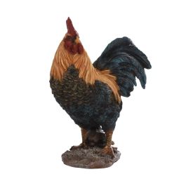 Coq S.