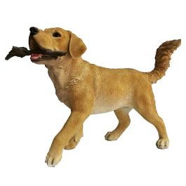 Golden retriever avec bâton
