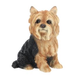 Yorkshire Terrier assis