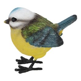 Mésange bleue