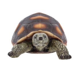 Tortue M