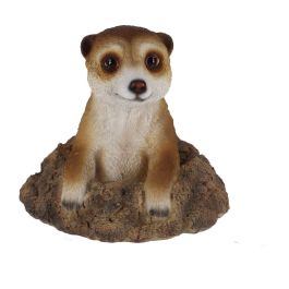Garden ornament peeking meerkat