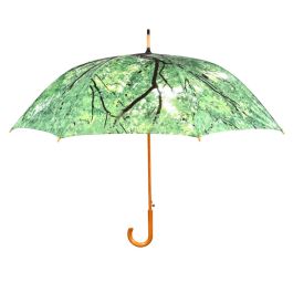 Parapluie cime d'arbre