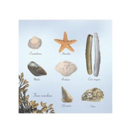 Serviette papier plage 33x33cm