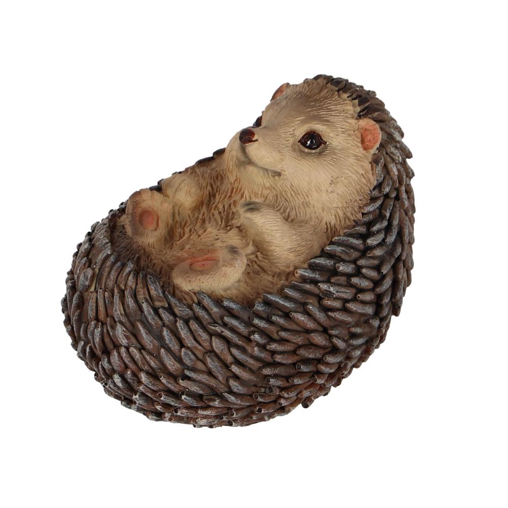 Tuinbeeld liggende egel
