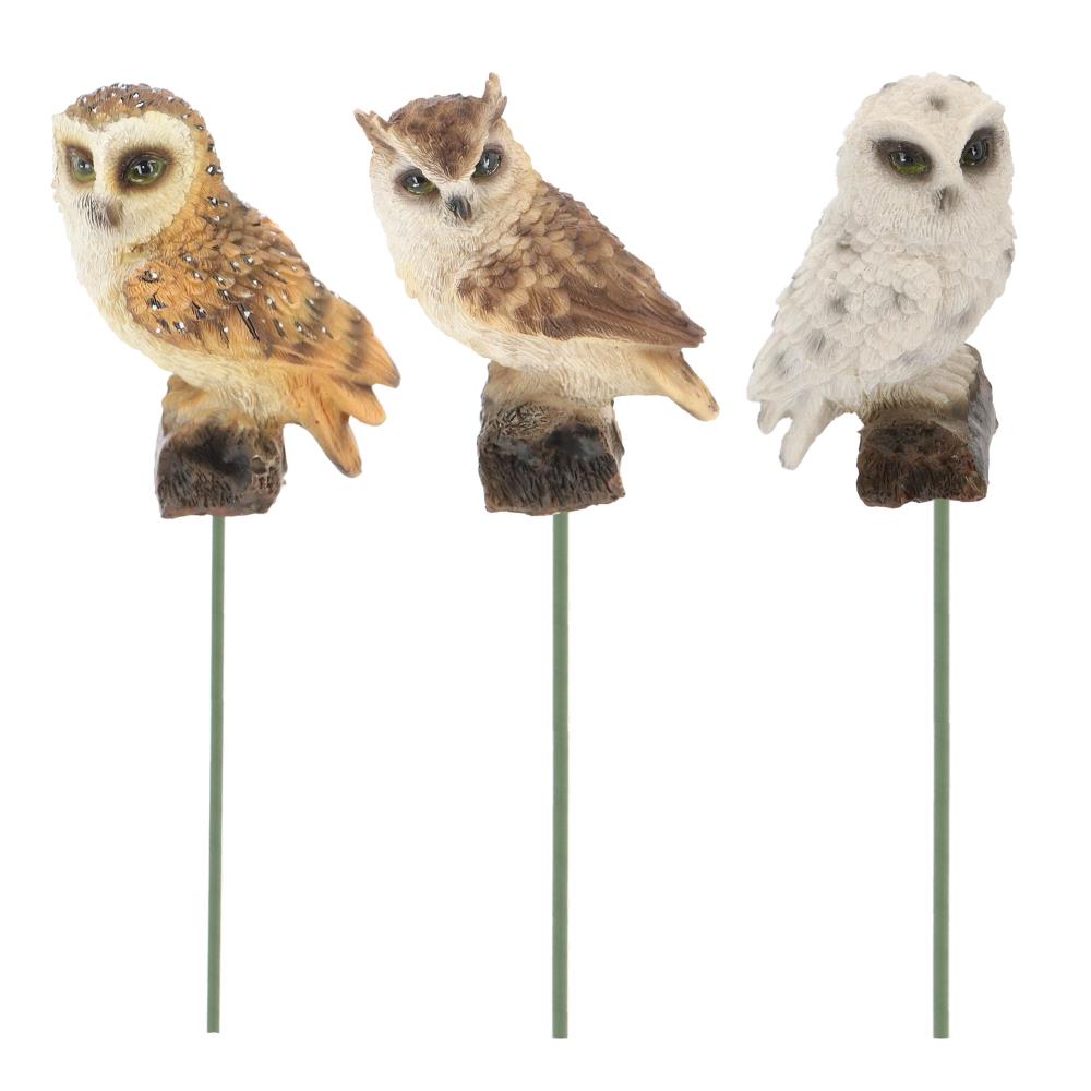 Assortiment van 3 uilen op steker