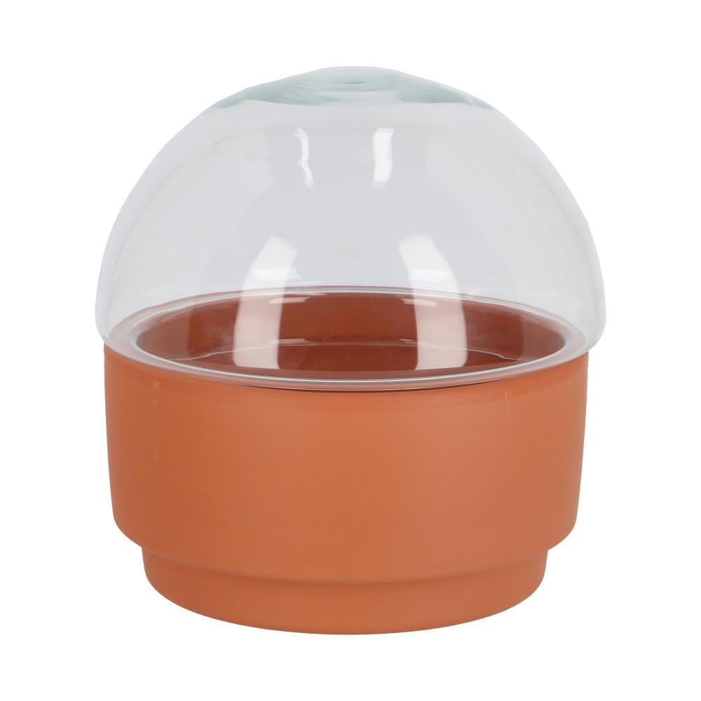 Terrarium plantenbak L