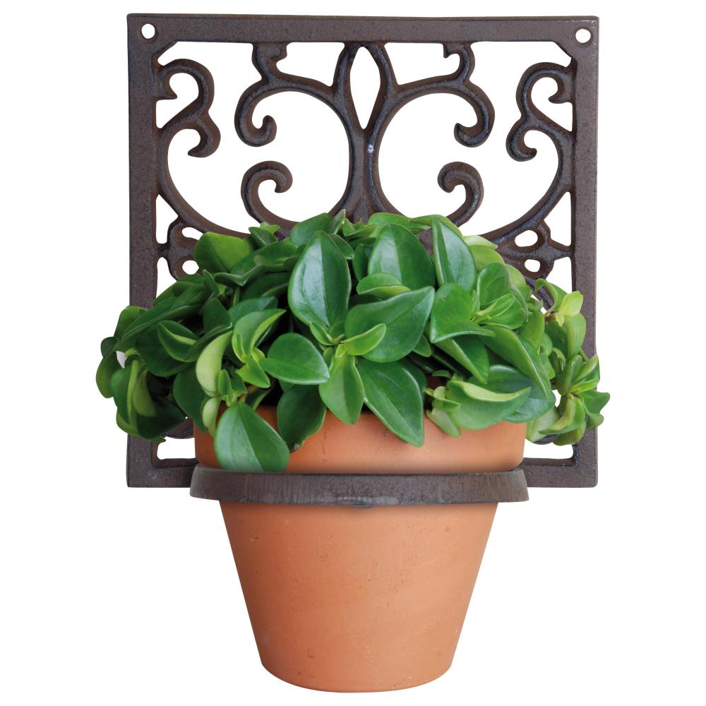 Klassieke plantenhanger 1 pot