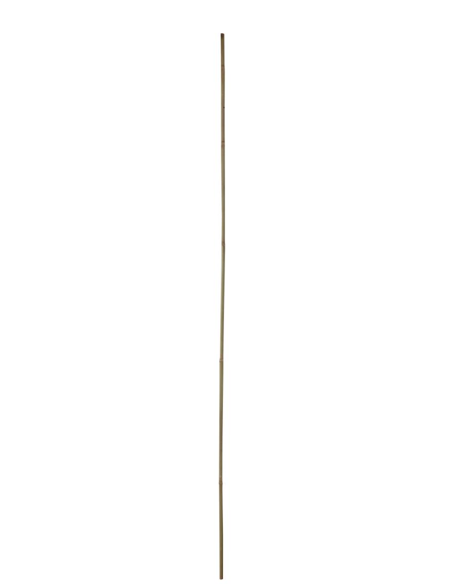4 Bamboestokken 150cm 12-14mm