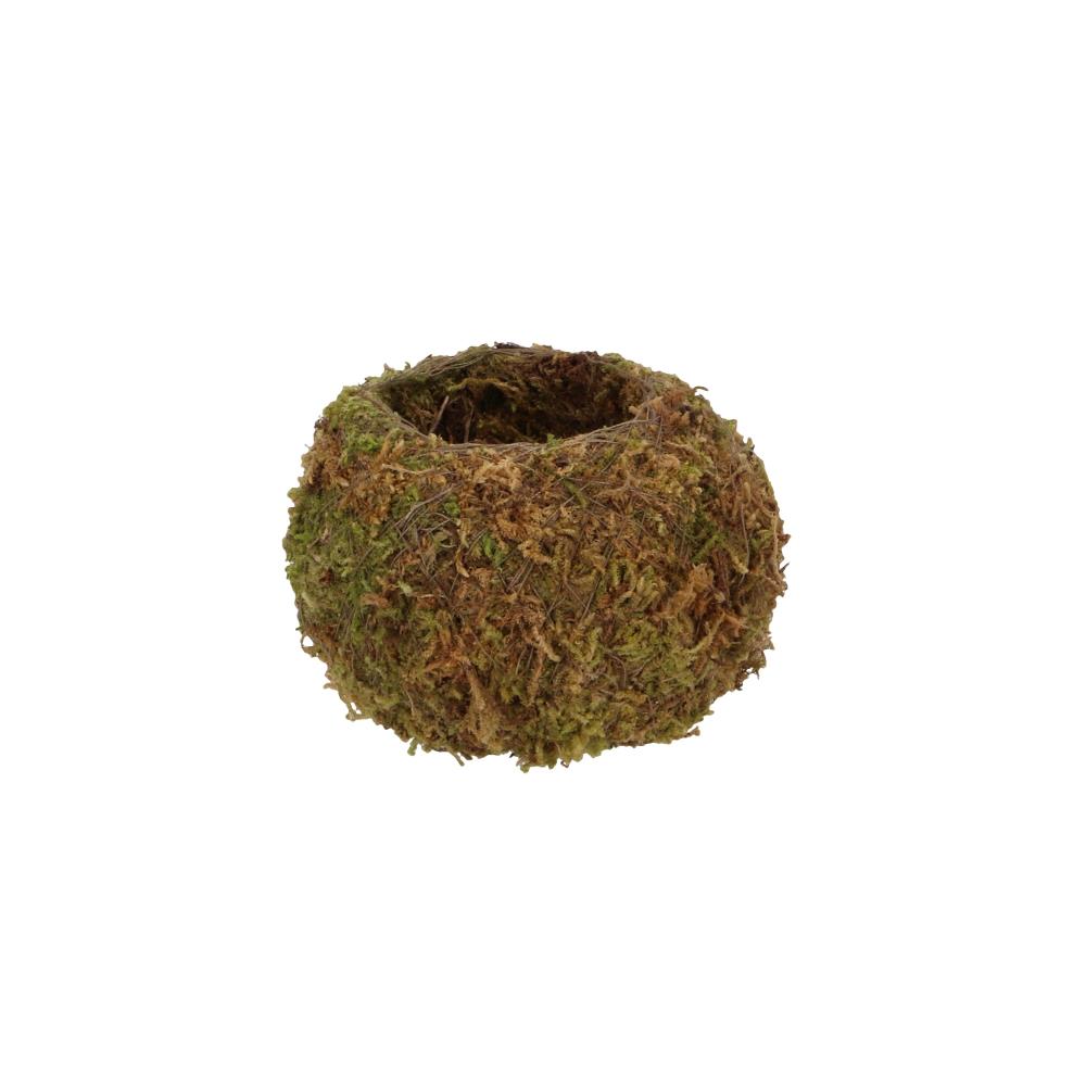 Kokedama bol S