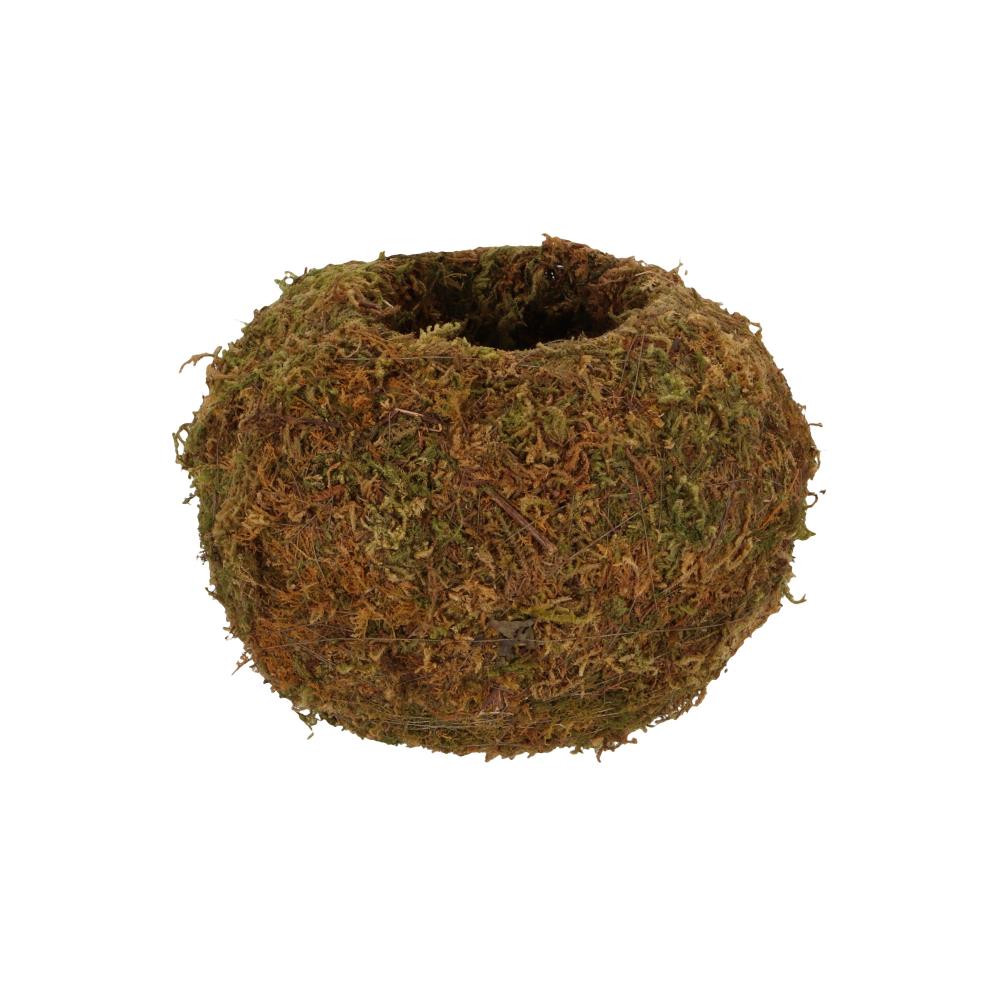 Kokedama bol M