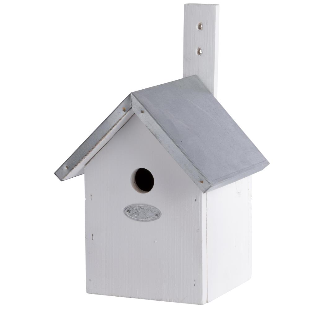 Witte nestkast pimpelmees