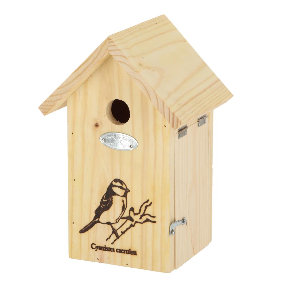 Silhouet nestkast pimpelmees