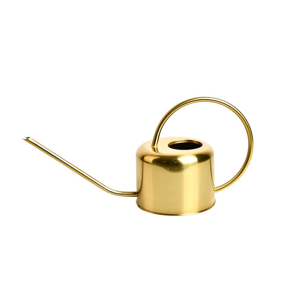 Gouden gieter