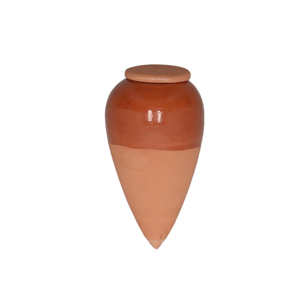 Olla kamerplanten