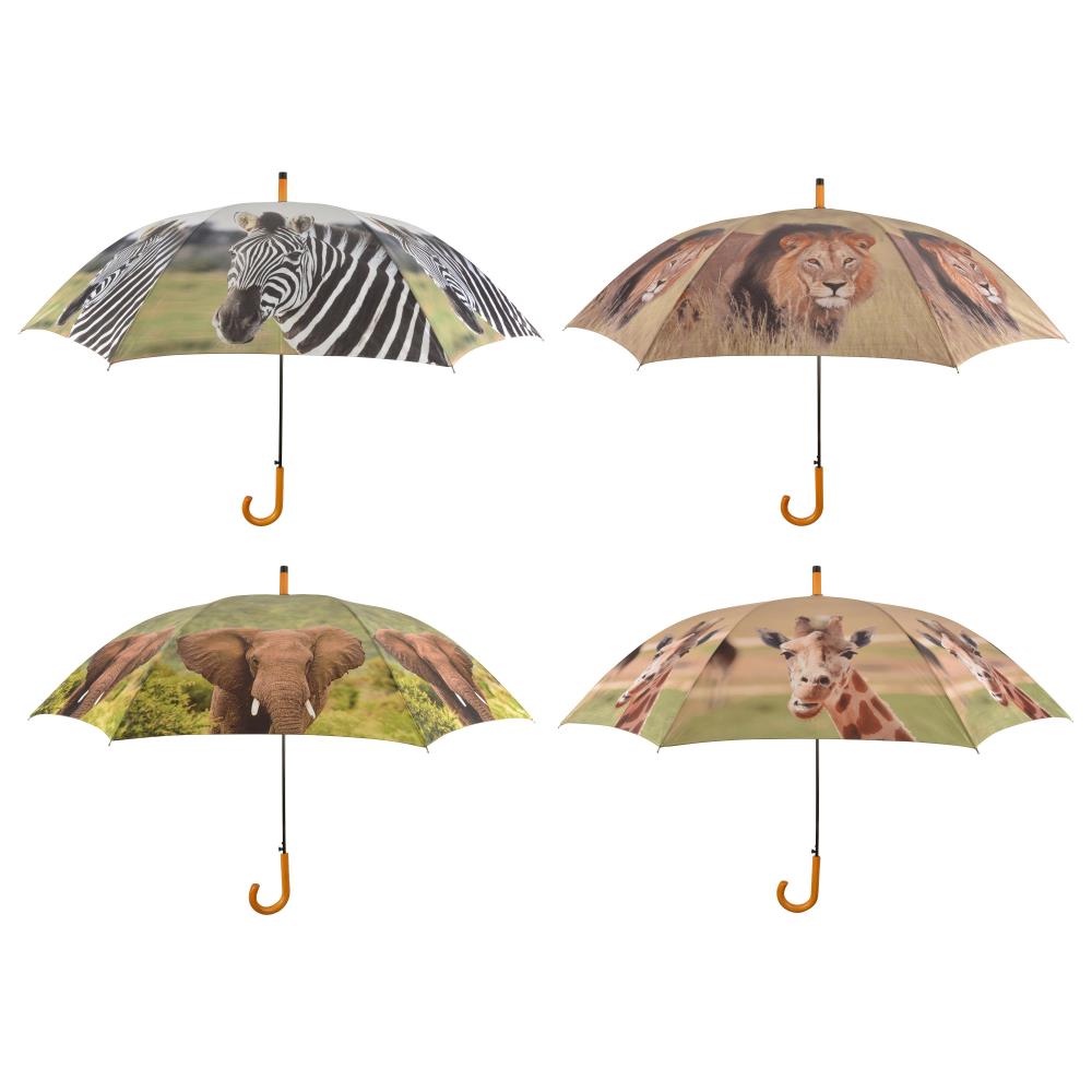 Assortiment van 4 paraplu's out of Africa