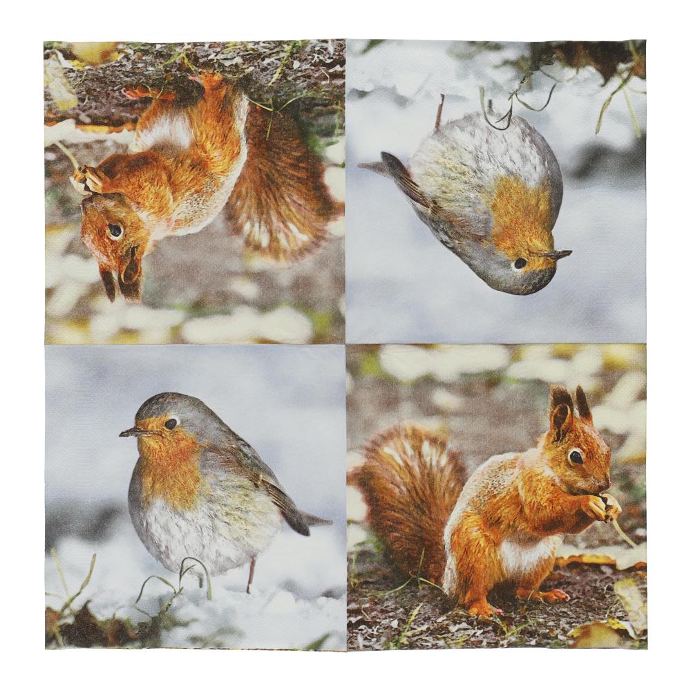 Papier servetten roodborst en eekhoorn