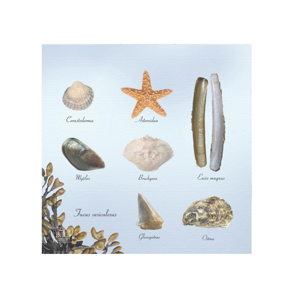 Papieren servetten strand