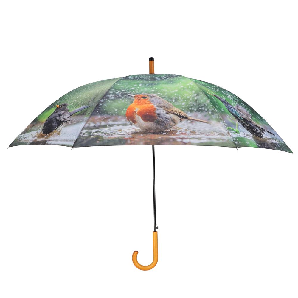 Paraplu badende vogels