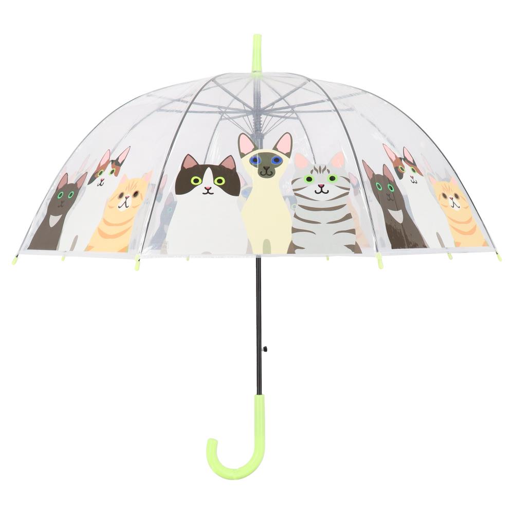 Transparante paraplu katten