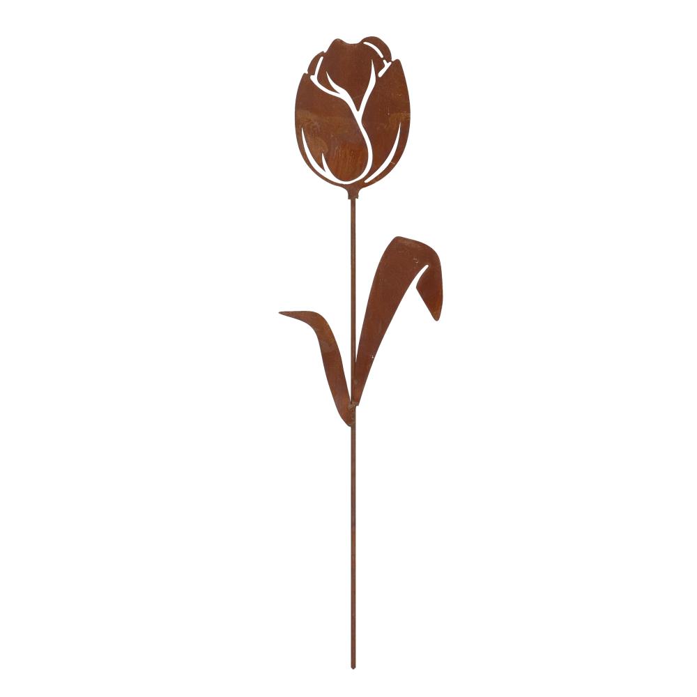 Roest tuinsteker tulp