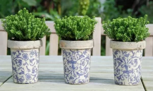 Najaarssfeer cre&euml;ren met onze Aged Ceramic collectie