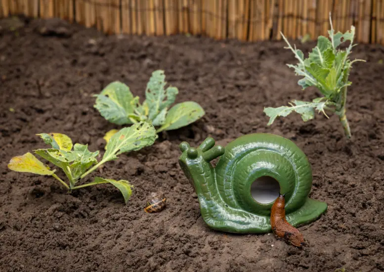Slakken bestrijden in de tuin
