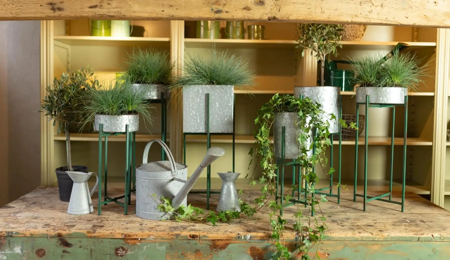 De beste plantcare tools voor het kamerplanten seizoen